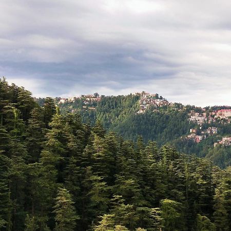 Neha Homestay Shimla Eksteriør bilde