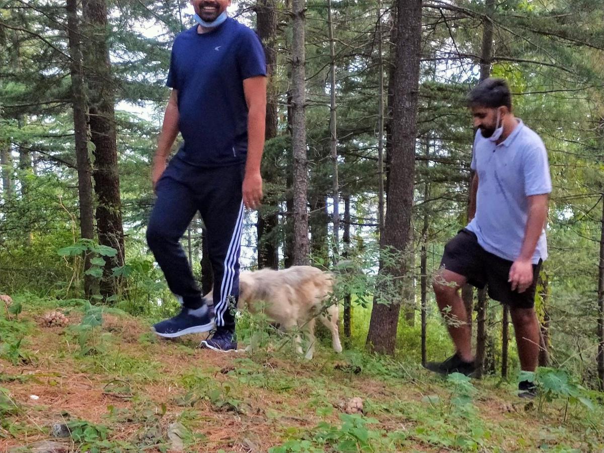 Neha Homestay Shimla Eksteriør bilde