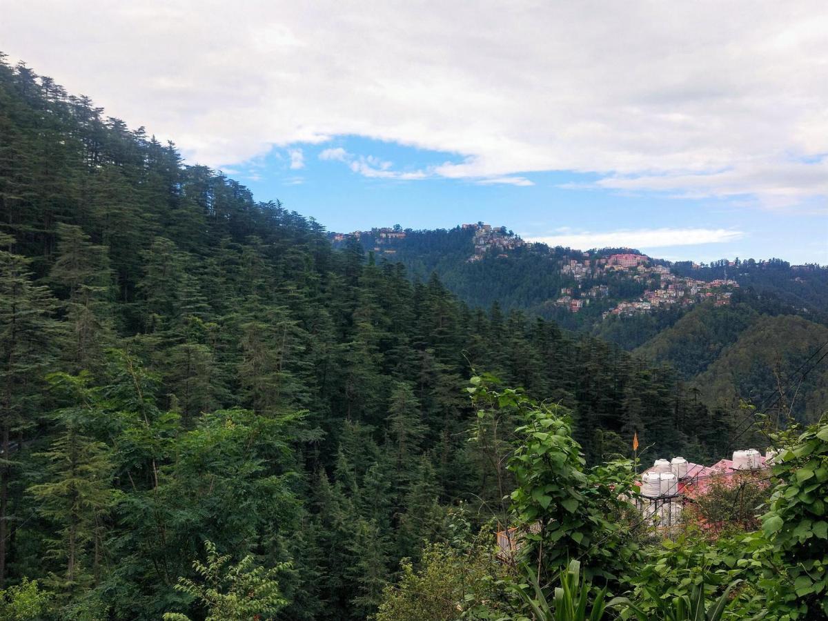 Neha Homestay Shimla Eksteriør bilde