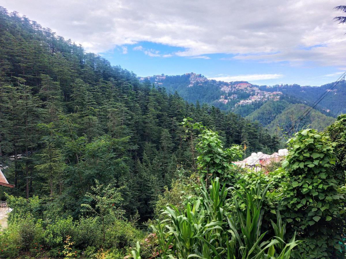 Neha Homestay Shimla Eksteriør bilde