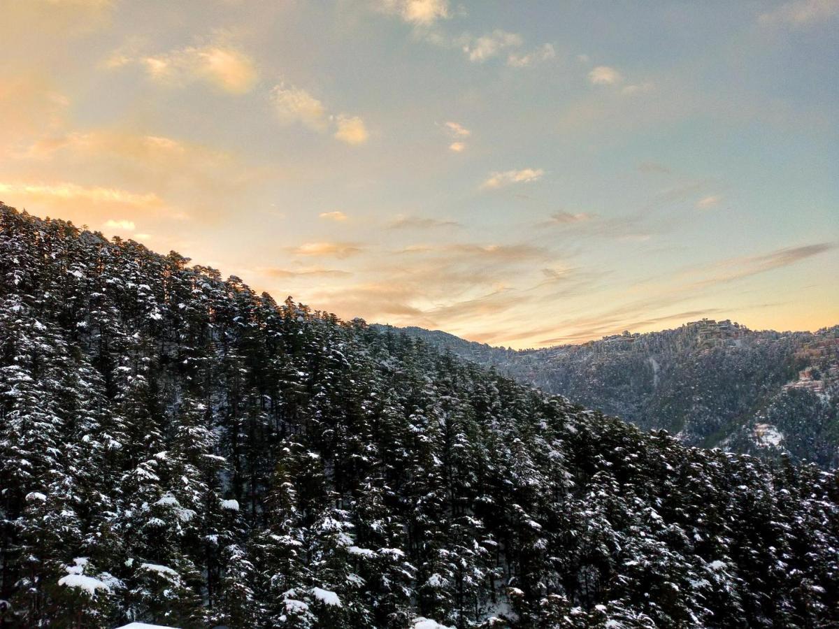 Neha Homestay Shimla Eksteriør bilde