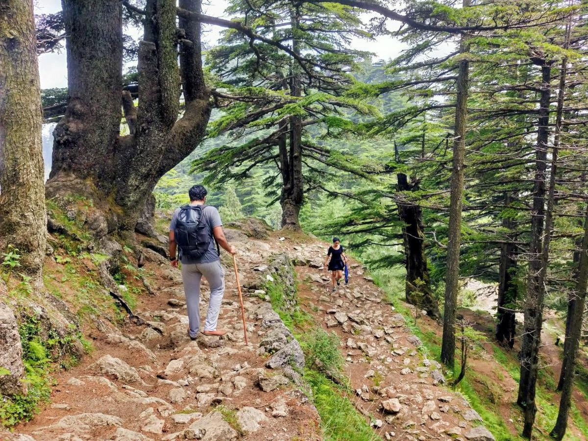 Neha Homestay Shimla Eksteriør bilde