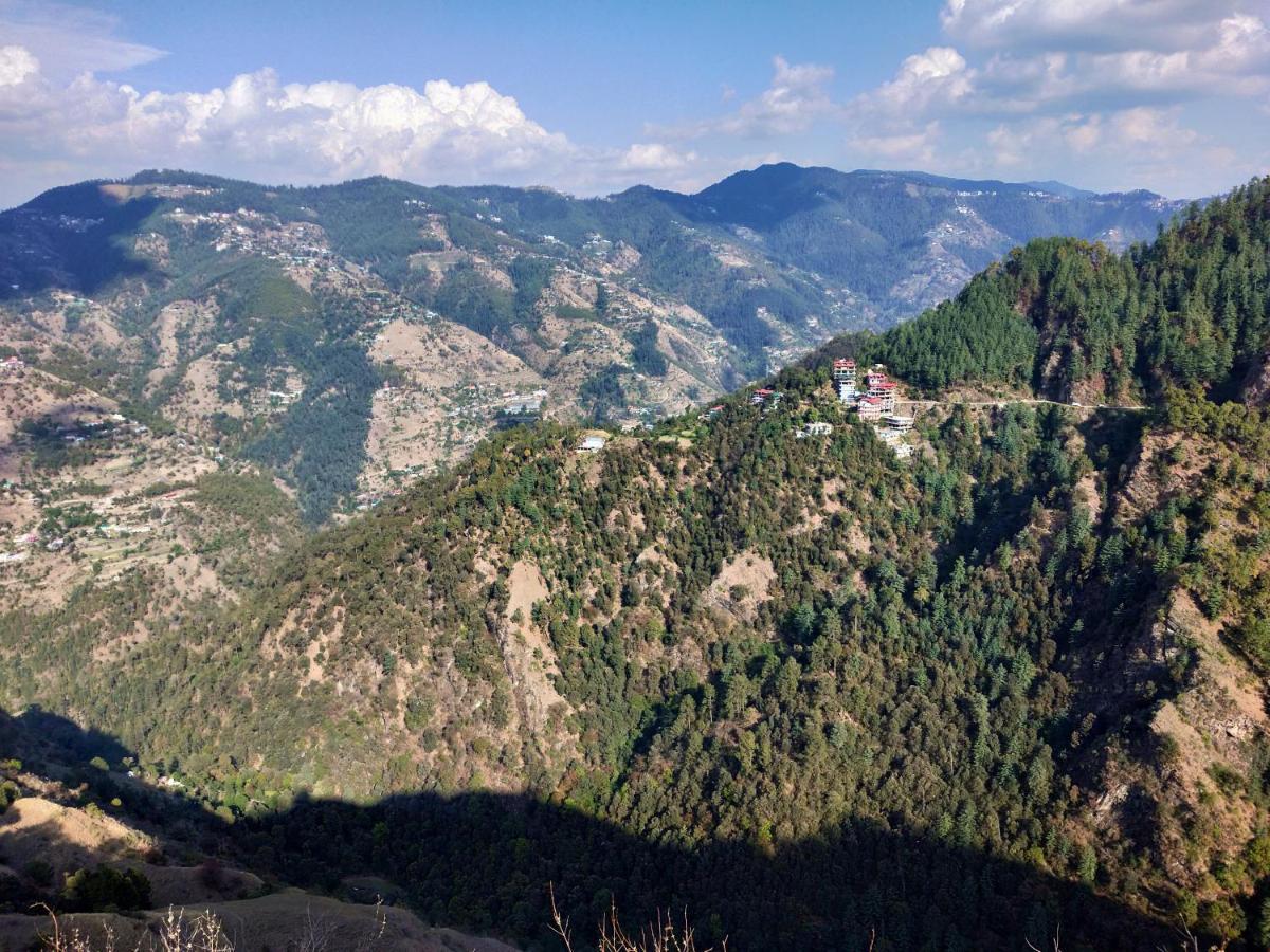 Neha Homestay Shimla Eksteriør bilde