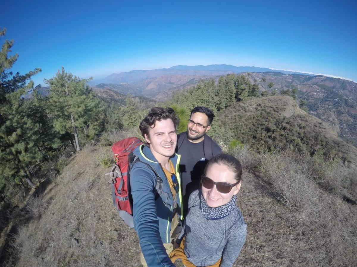 Neha Homestay Shimla Eksteriør bilde