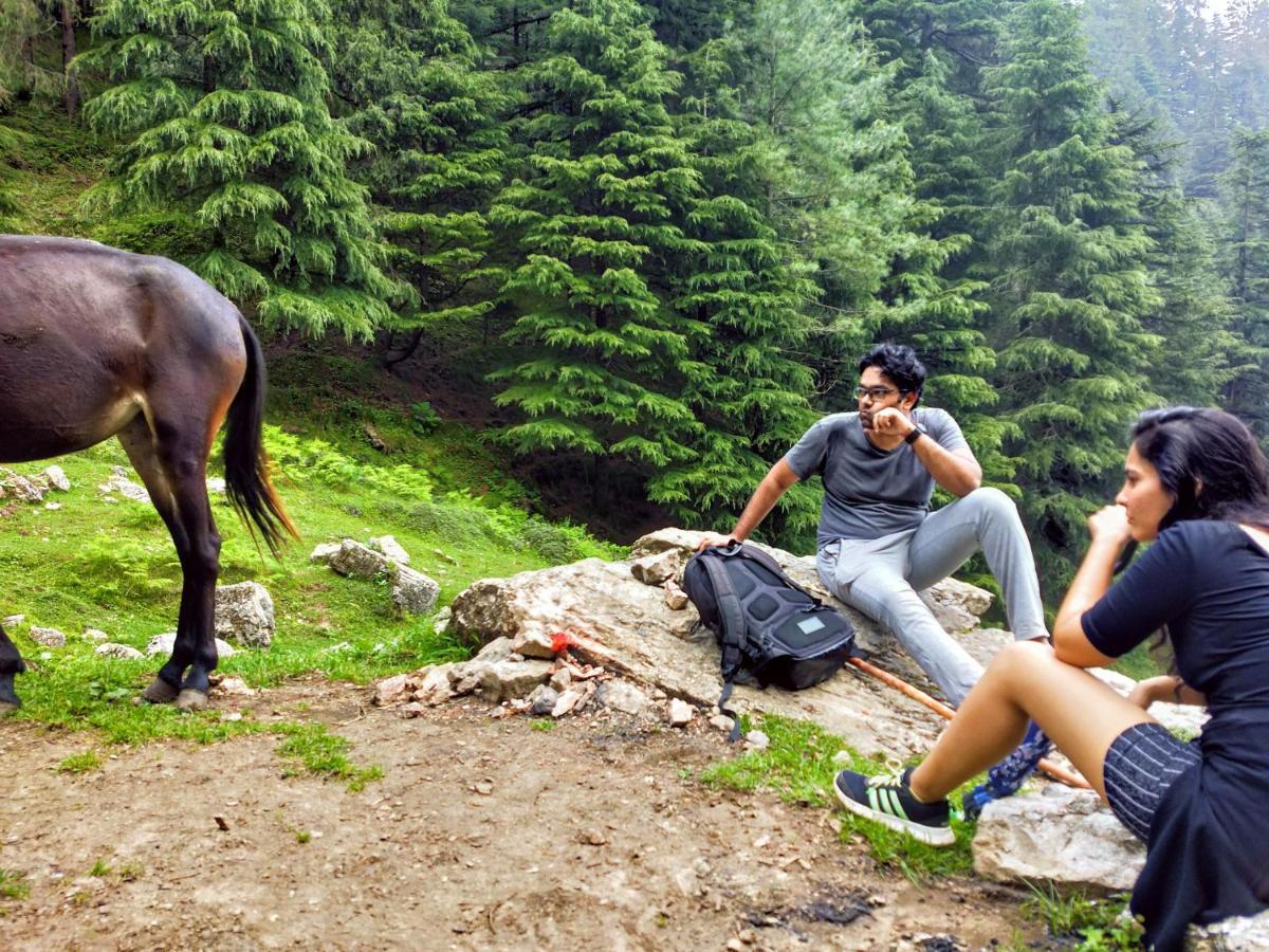 Neha Homestay Shimla Eksteriør bilde