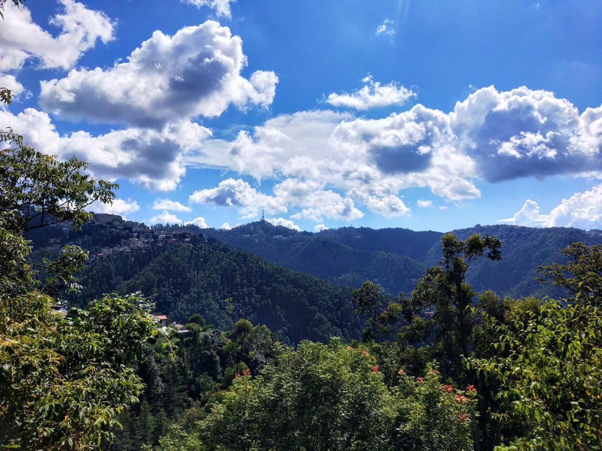 Neha Homestay Shimla Eksteriør bilde