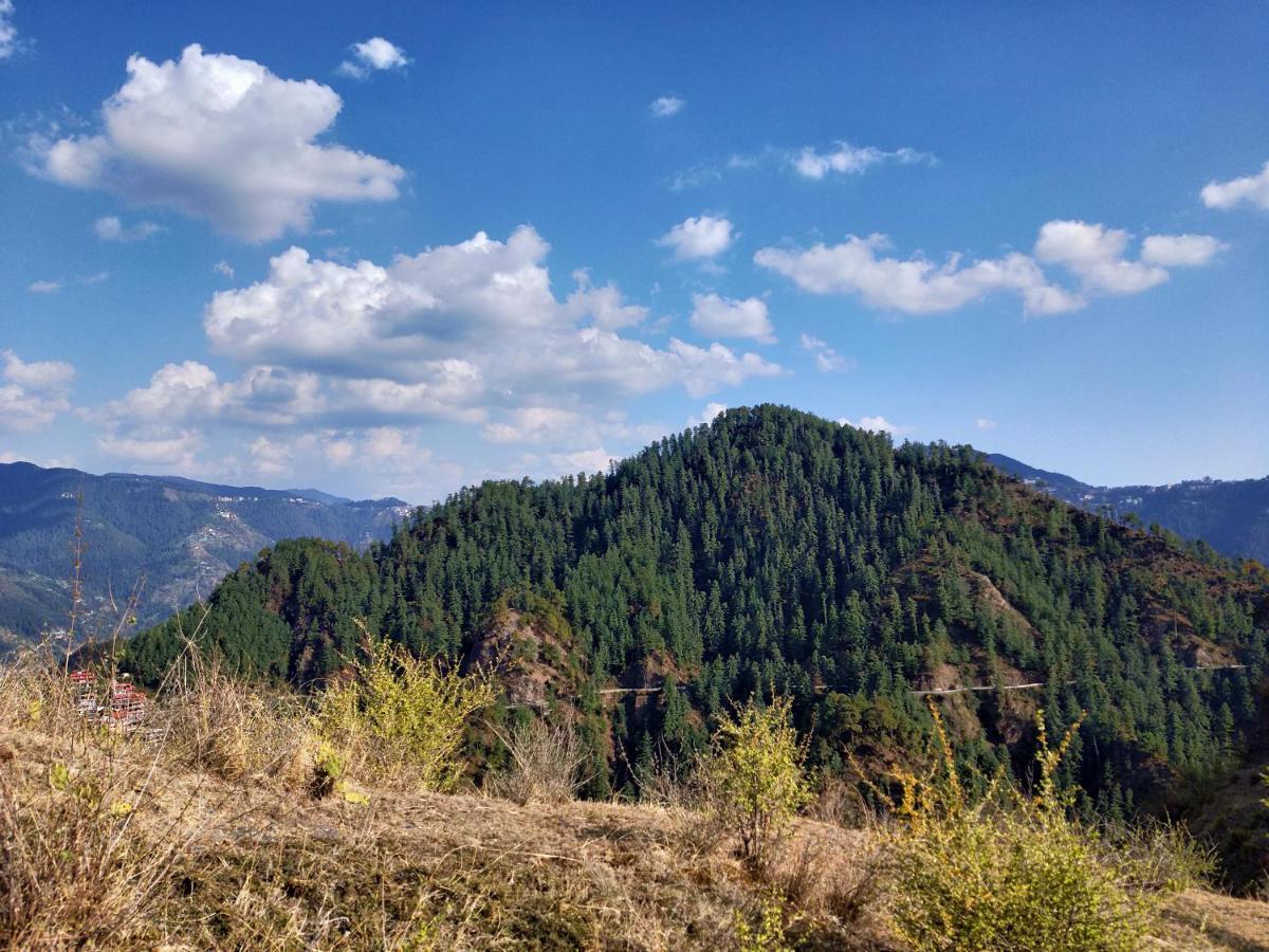 Neha Homestay Shimla Eksteriør bilde