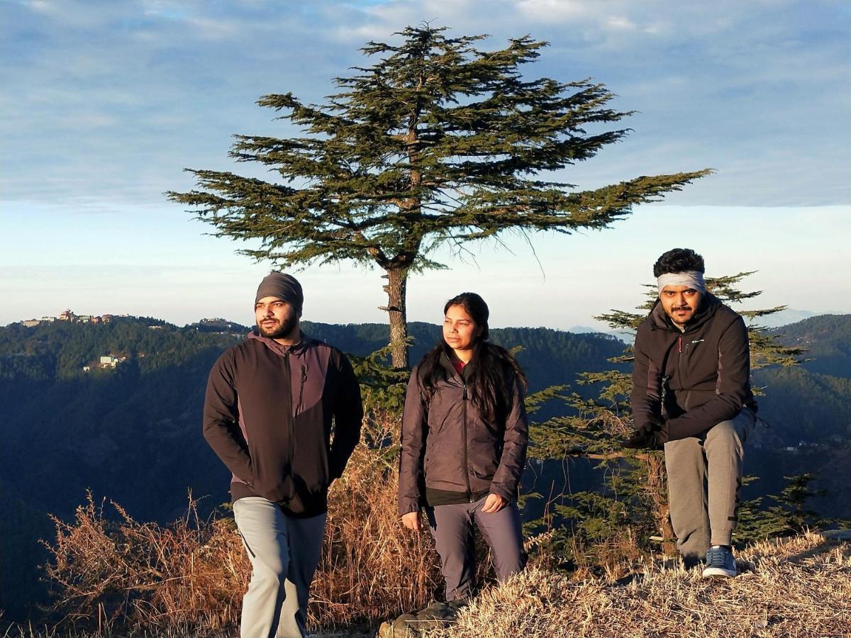 Neha Homestay Shimla Eksteriør bilde
