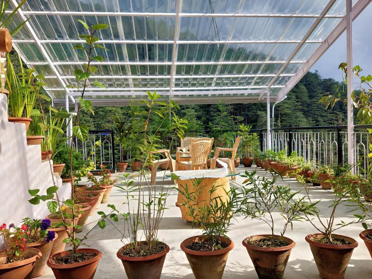 Neha Homestay Shimla Eksteriør bilde