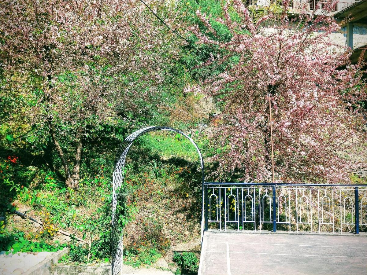 Neha Homestay Shimla Eksteriør bilde
