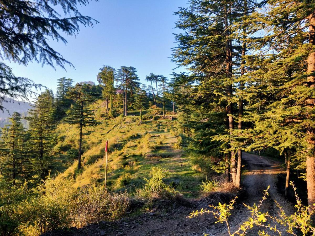 Neha Homestay Shimla Eksteriør bilde