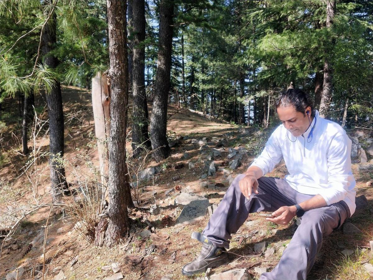 Neha Homestay Shimla Eksteriør bilde