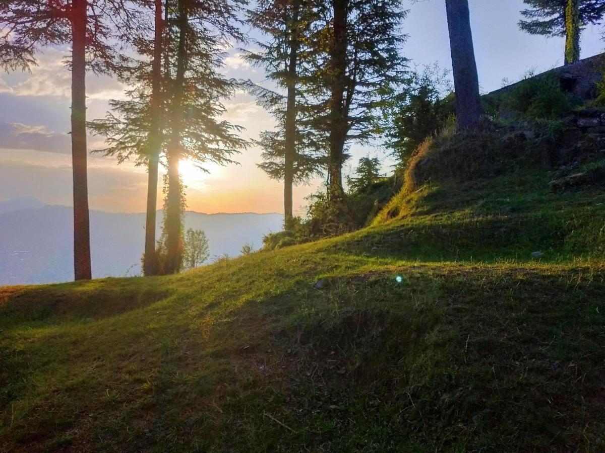 Neha Homestay Shimla Eksteriør bilde