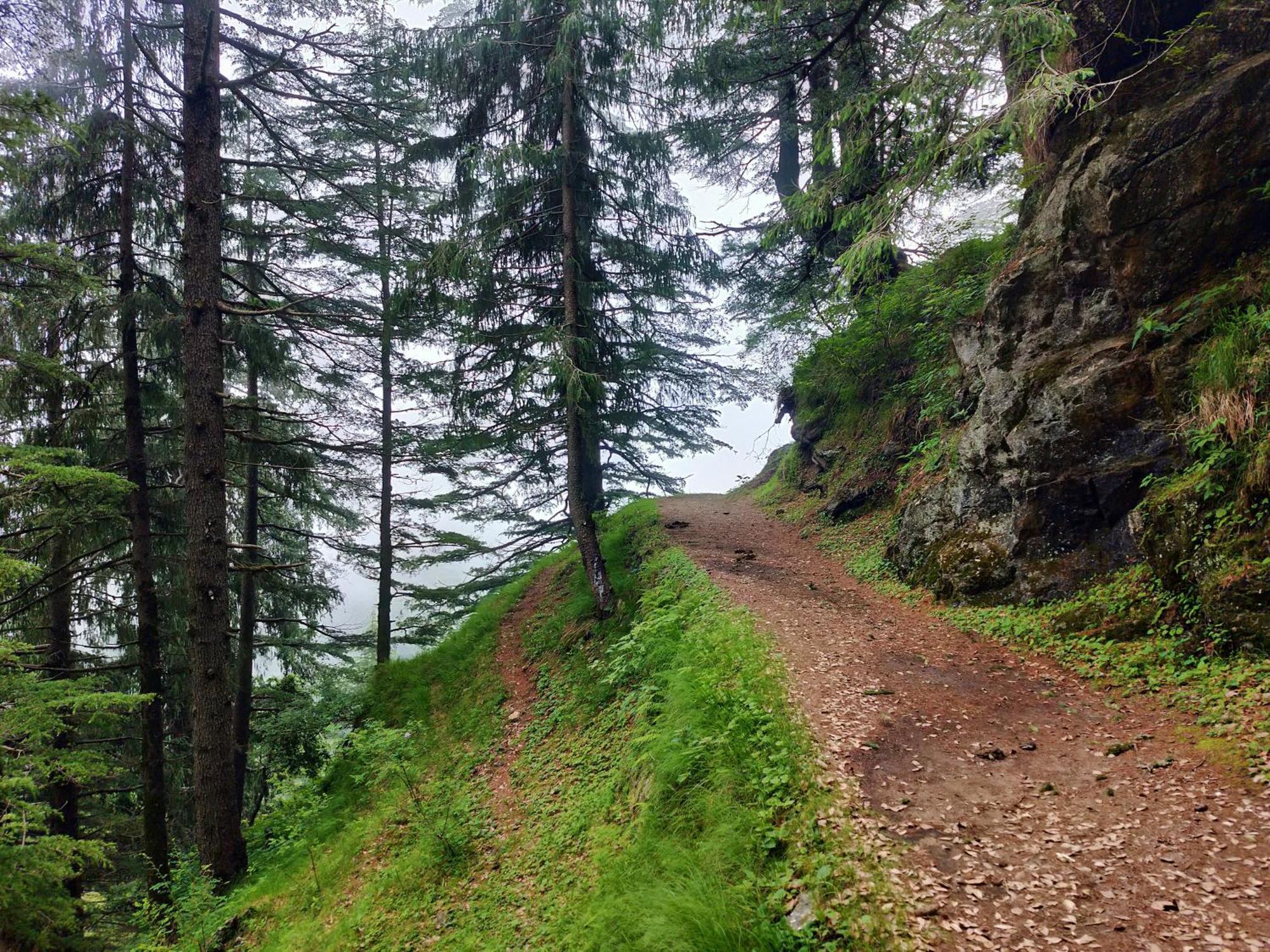 Neha Homestay Shimla Eksteriør bilde