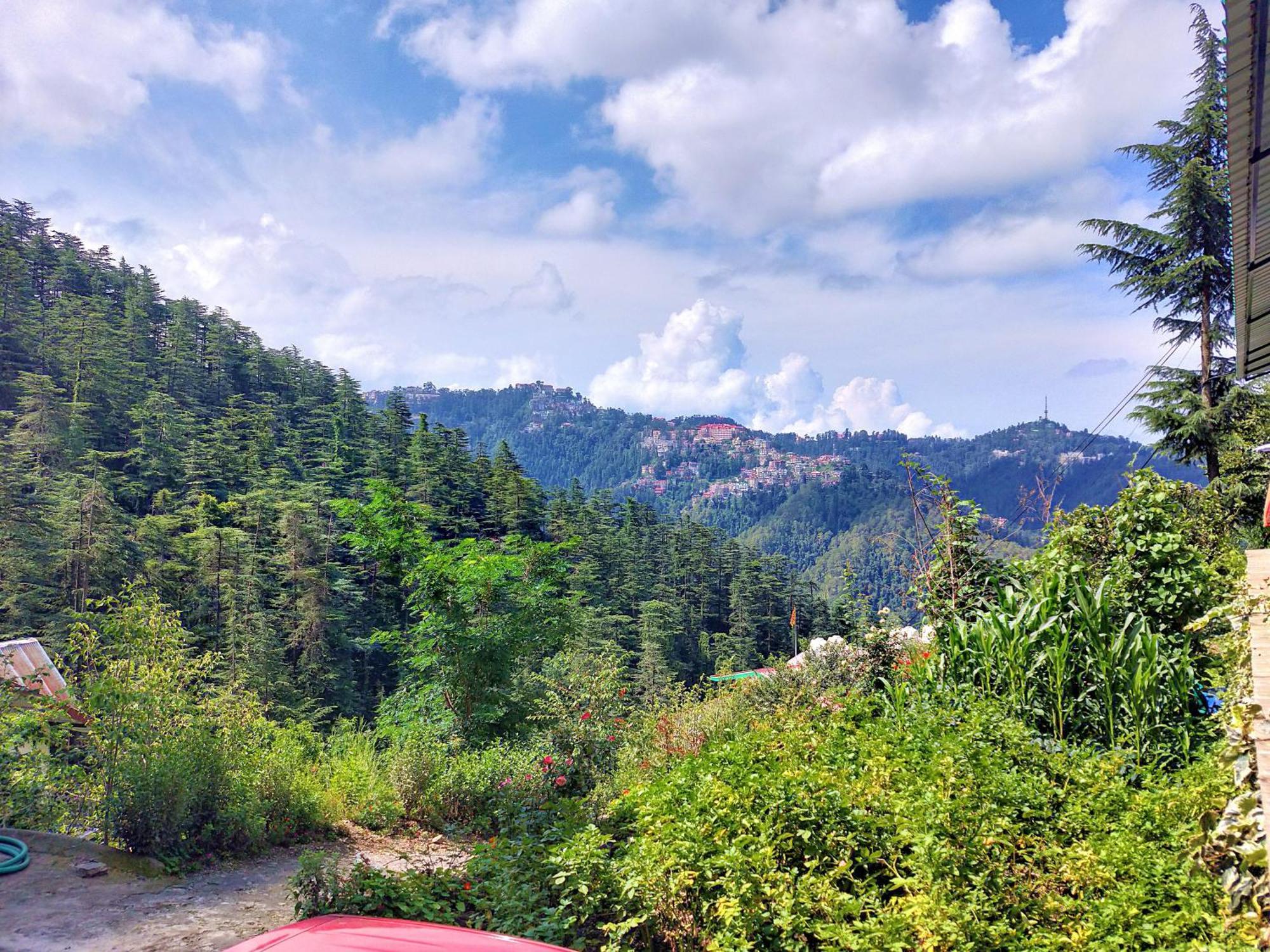 Neha Homestay Shimla Eksteriør bilde