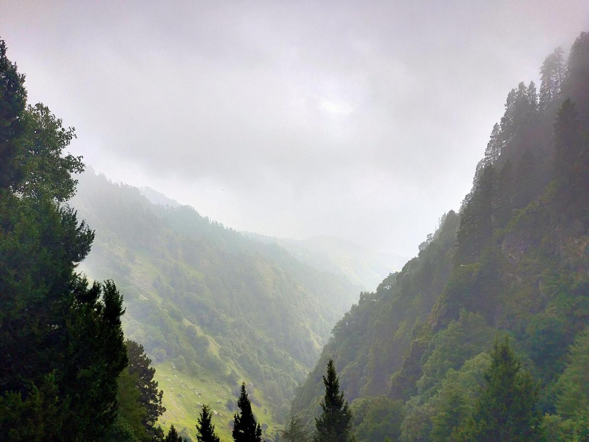 Neha Homestay Shimla Eksteriør bilde
