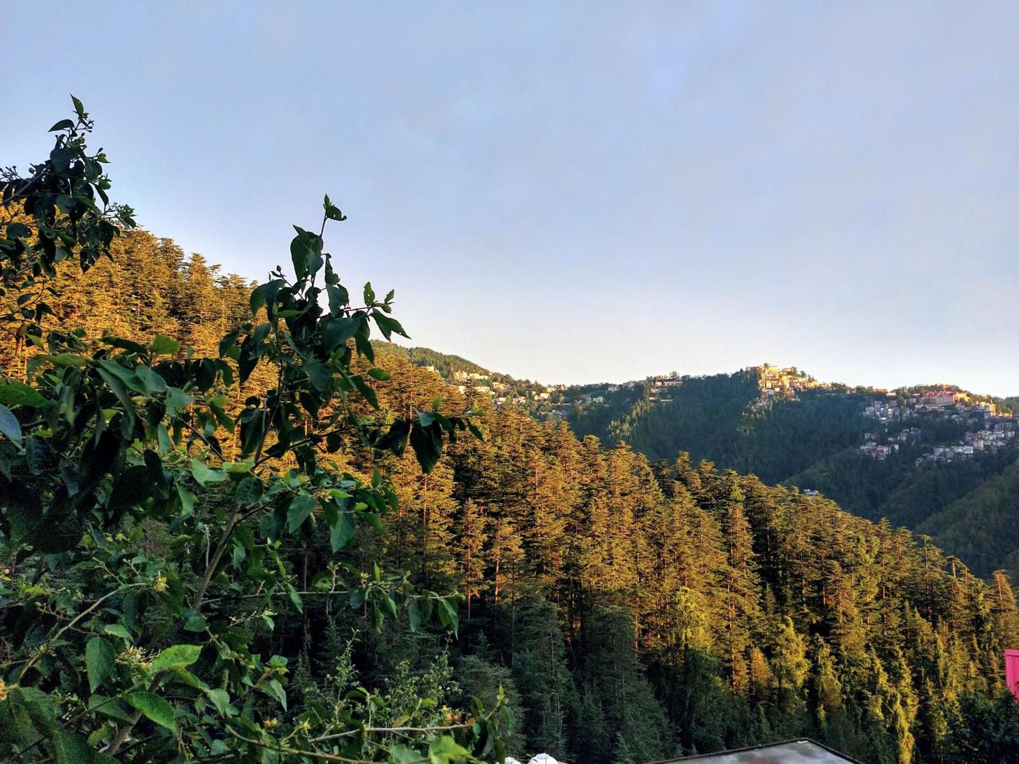 Neha Homestay Shimla Eksteriør bilde