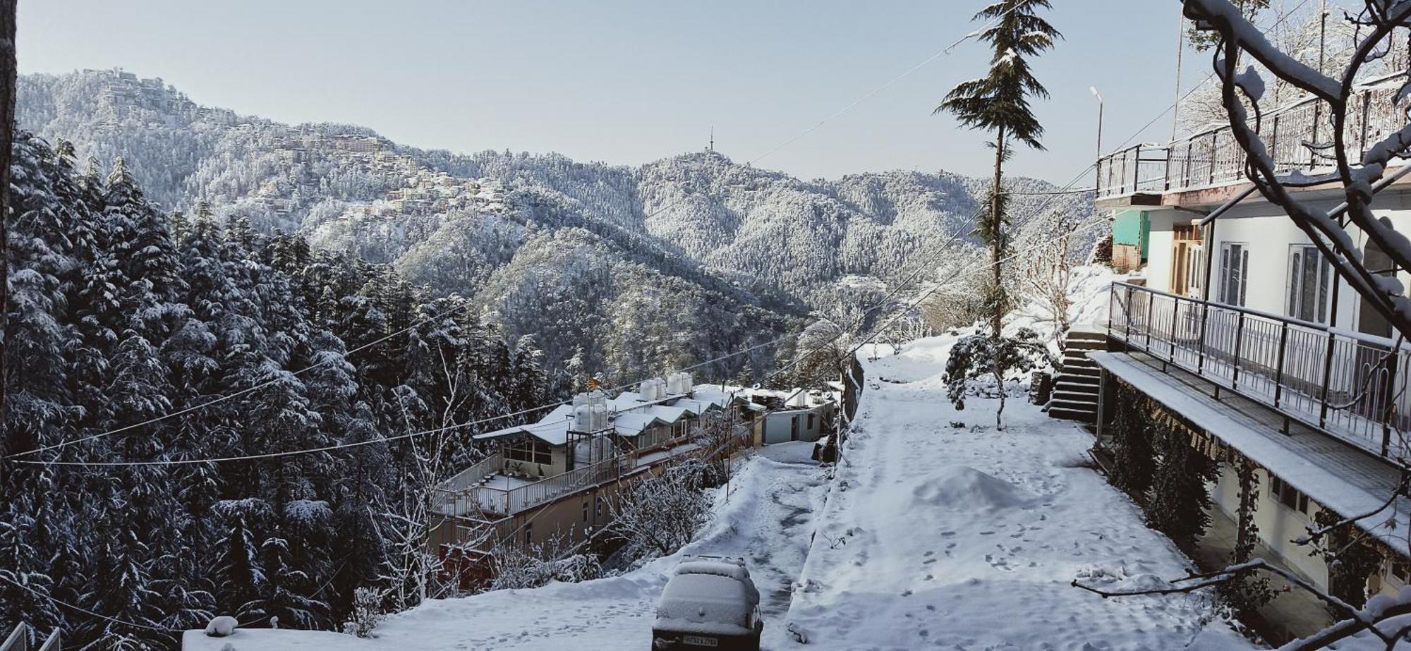 Neha Homestay Shimla Eksteriør bilde